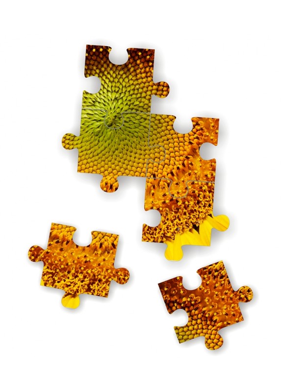 Puzzle - Sunflower