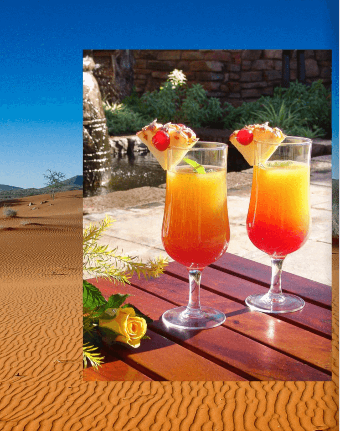 Digital Advertising Image - Kalahari Game Lodge